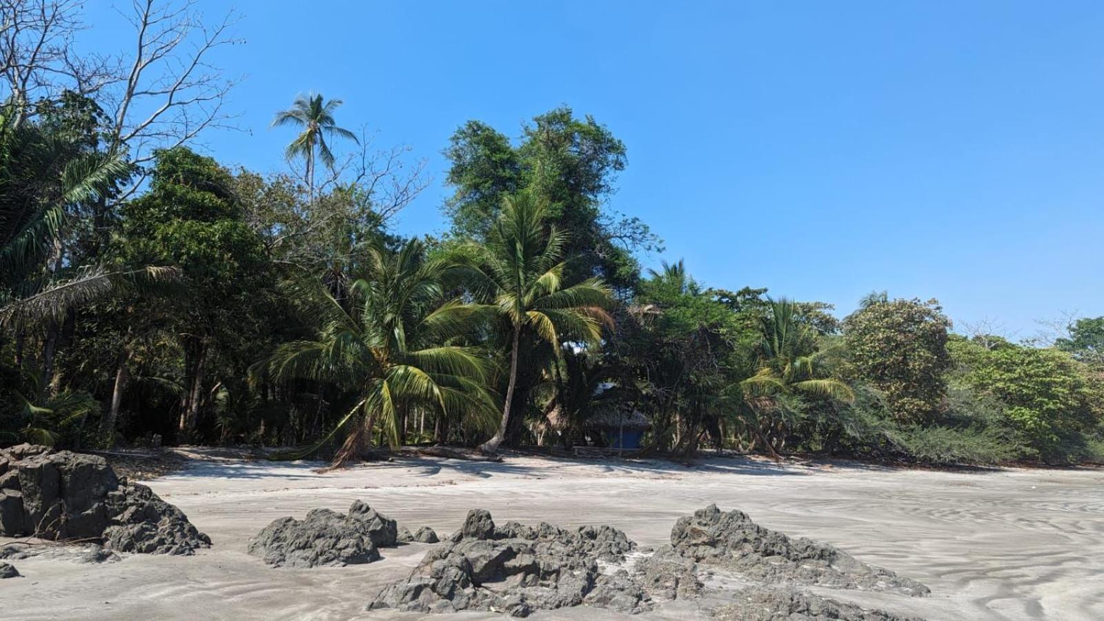 Villas Isla Escondida Boca Chica Eksteriør bilde