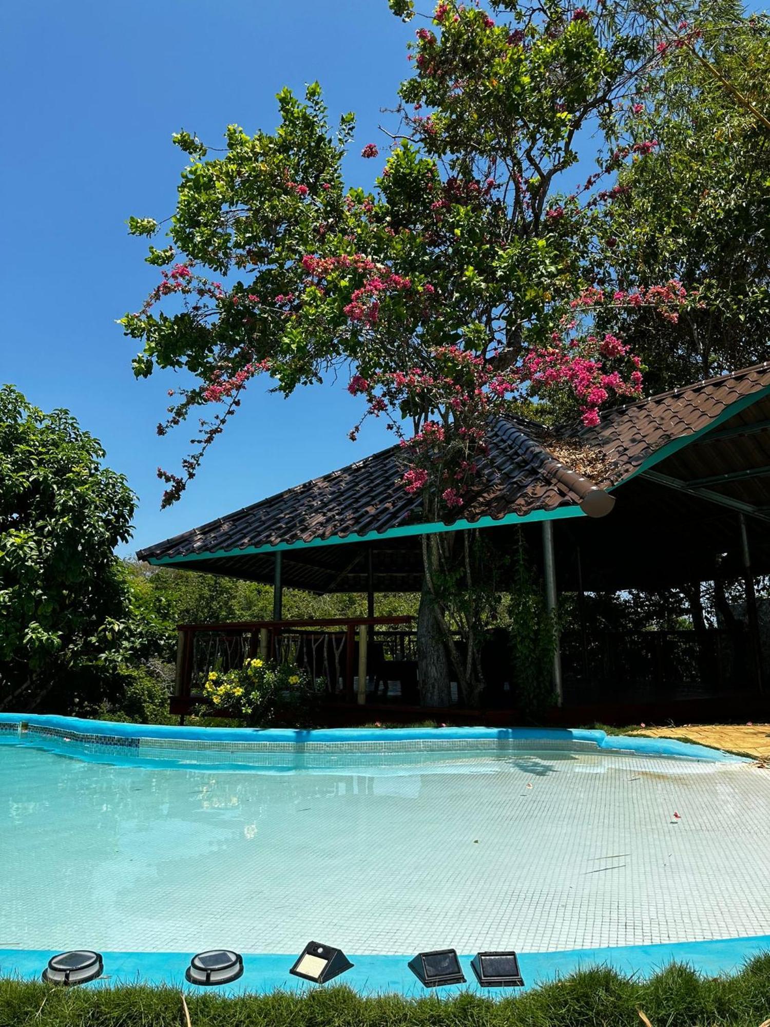 Villas Isla Escondida Boca Chica Eksteriør bilde